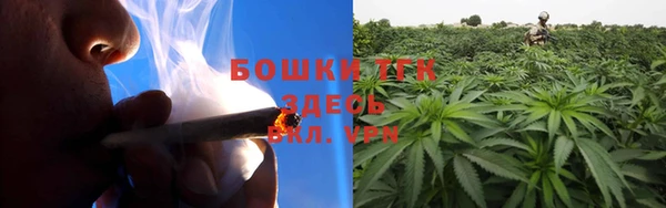 ECSTASY Белокуриха