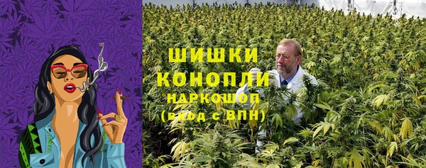 ECSTASY Белокуриха