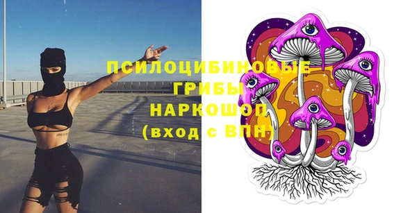 ECSTASY Белокуриха
