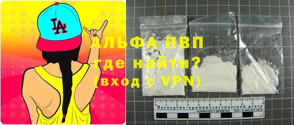 ECSTASY Белокуриха