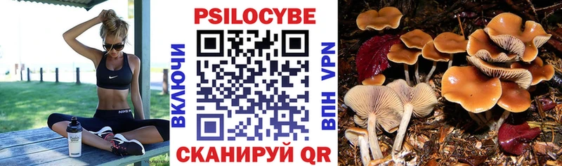 Купить где Боготол Псилоцибиновые грибы Magic Shrooms